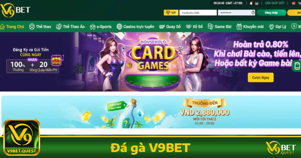Đá gà V9bet 4 Hướng dẫn tham gia Đá gà V9BET